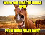 meme-mv2tay0w-5gx5e5sk.png